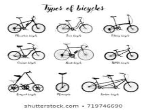 types of cycles